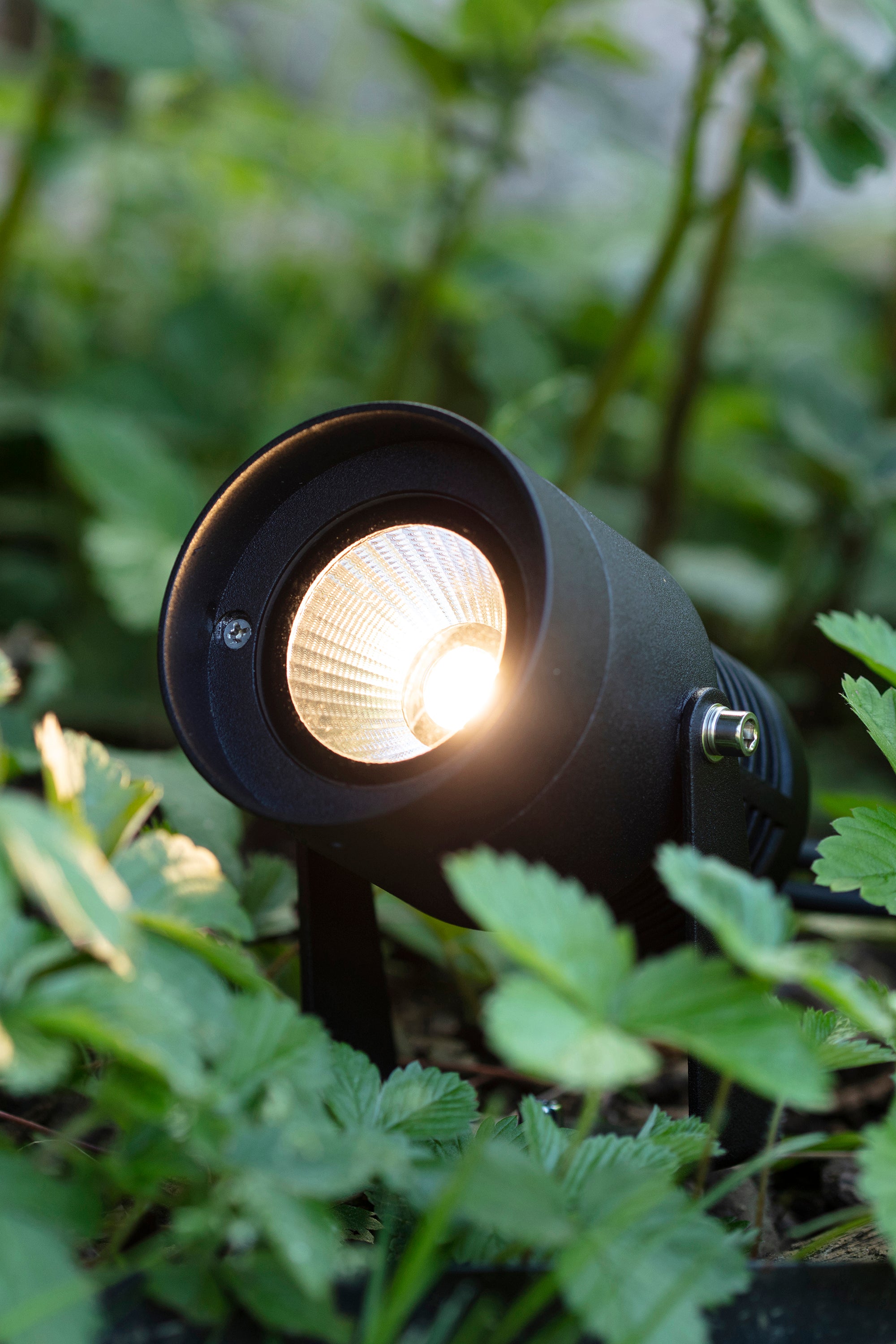 GARDEN 24 Spot 6W Black