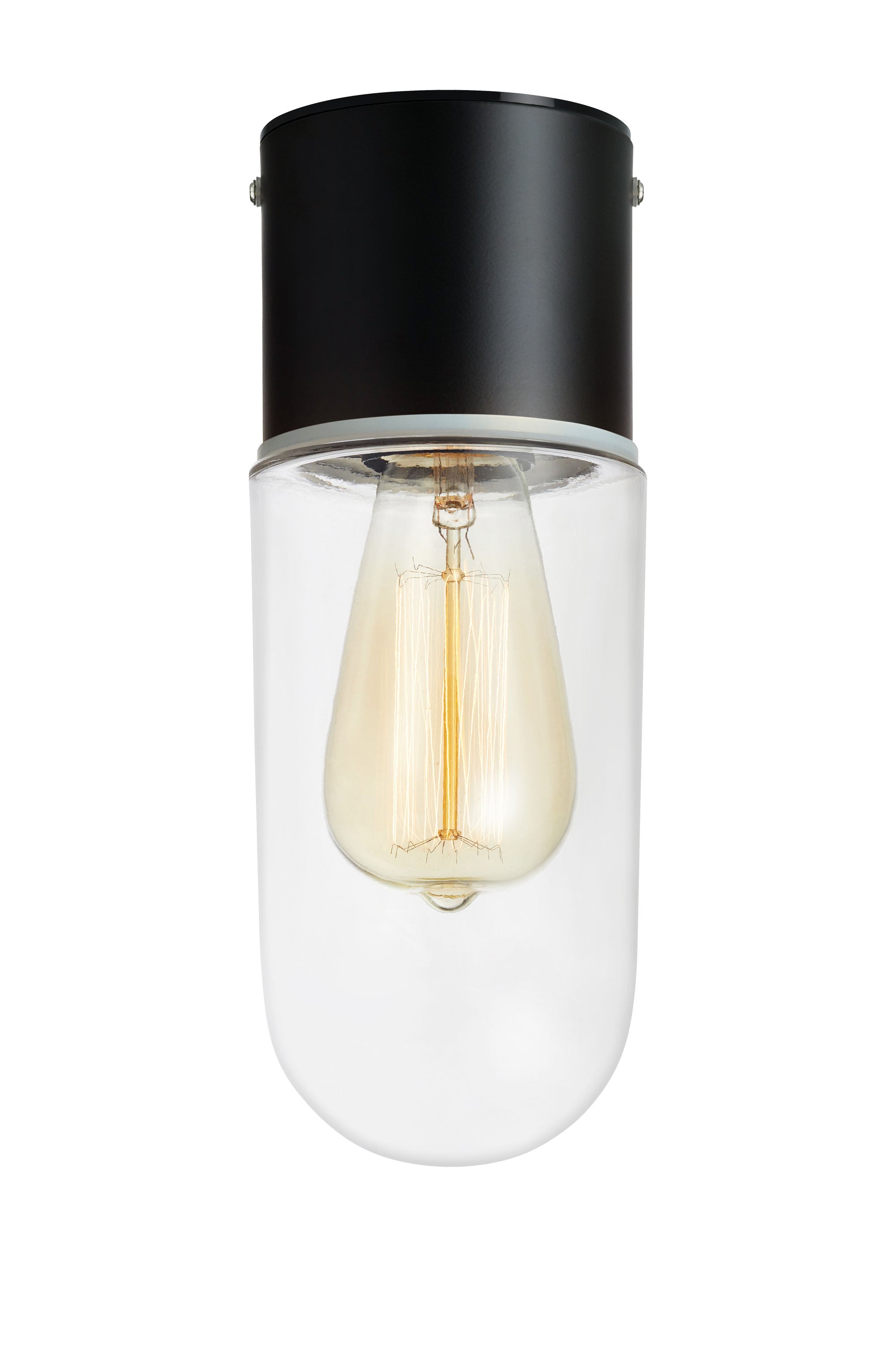 ZEN taklampa 1L Black/Clear IP44