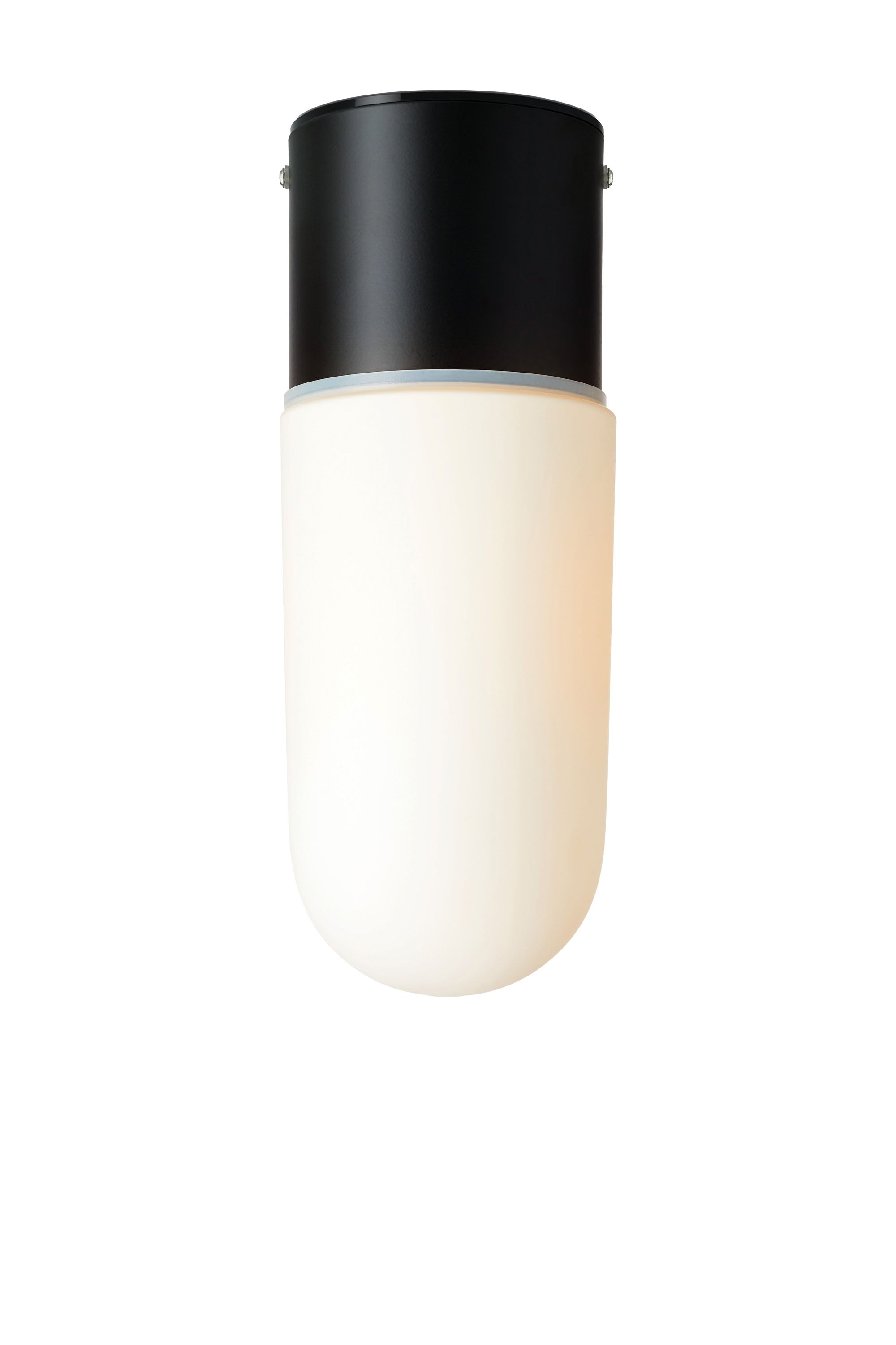 ZEN taklampa 1L Black/White IP44