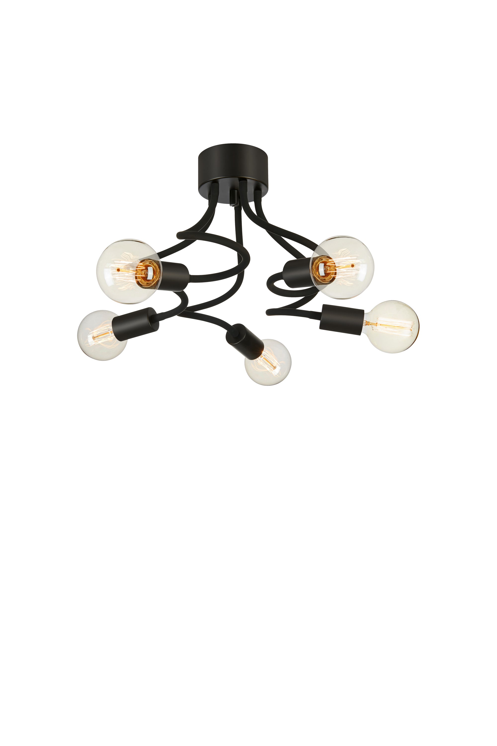 MEDUSA taklampa 5L Black