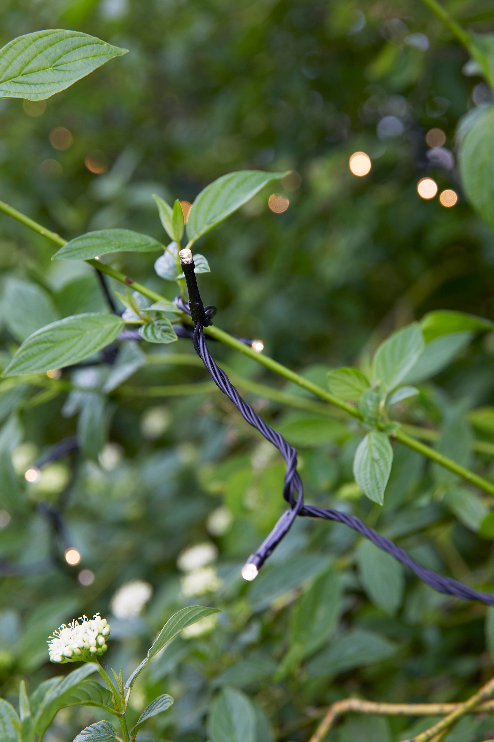 GARDEN 24 Light Chain 80L Black