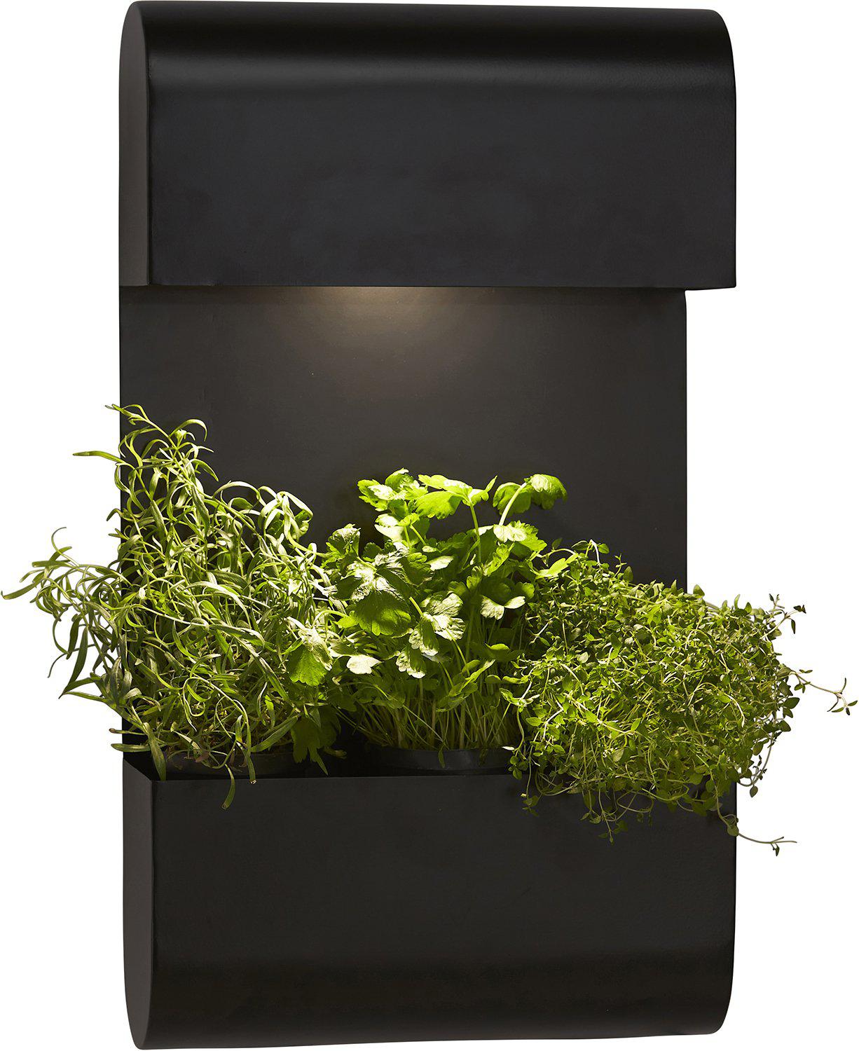 Planta vägglampa