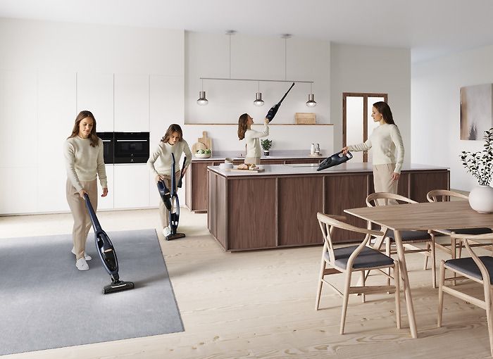 Electrolux WQ71-P501B laddningsbar dammsugare
