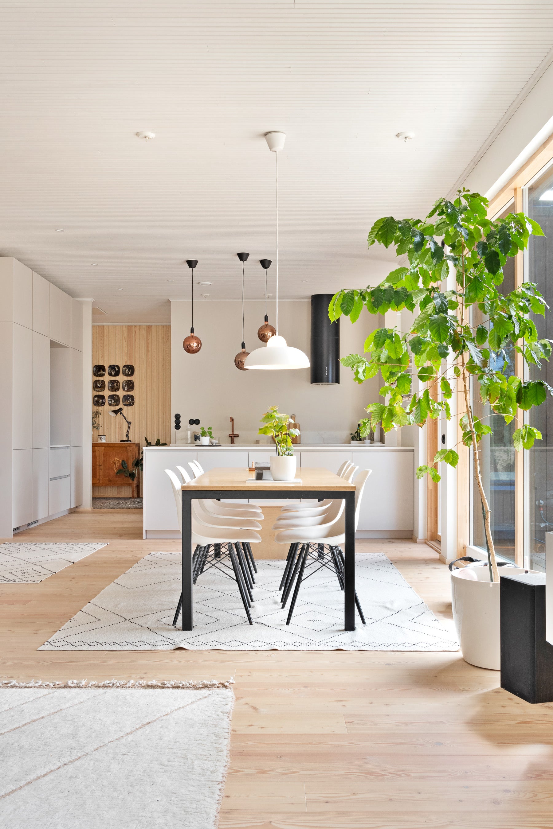 Napa taklampa svart