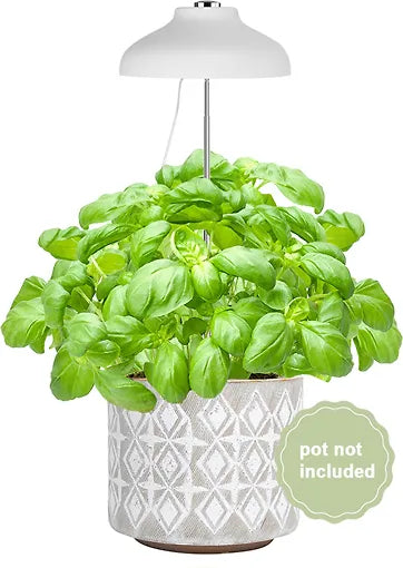 Enne Bijou Grow -kasvivalaisin,USB, 5 W, 240 lm, valkoinen