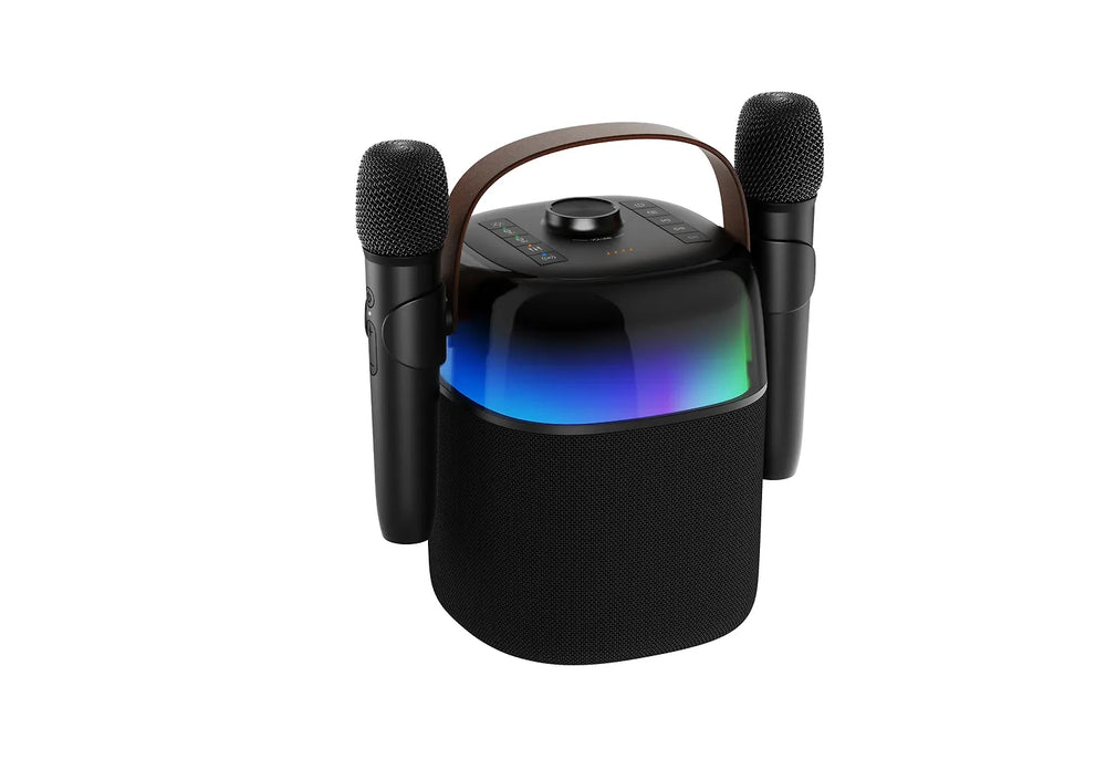 ProCaster Upbeat karaokekaiutin kahdella mikrofonilla