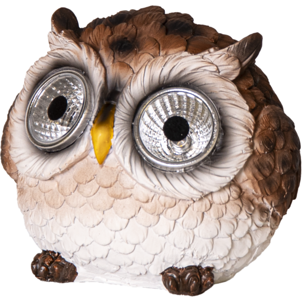 Owl aurinkokennovalaisin