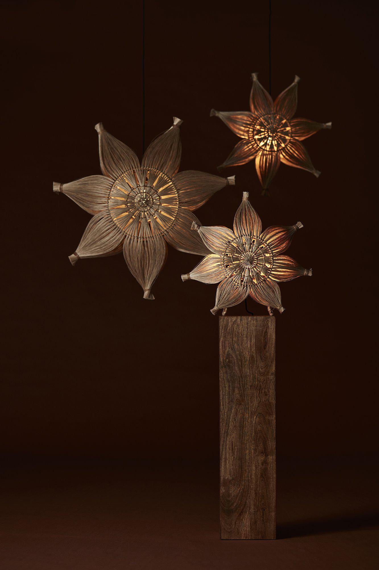 Agnes tähti natur 58 cm