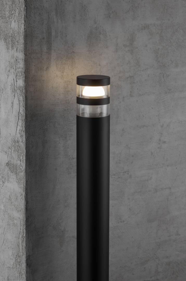 Birk pollare 80 cm svart