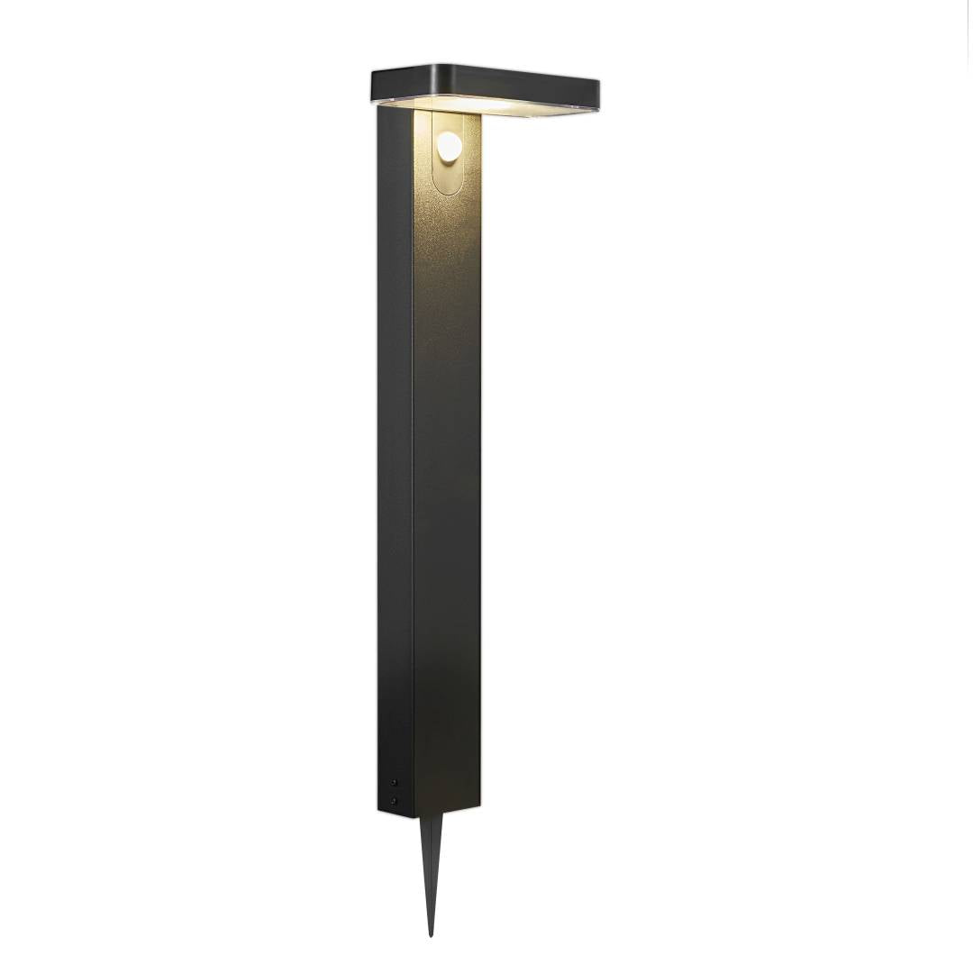 Rica Square Solar pollare