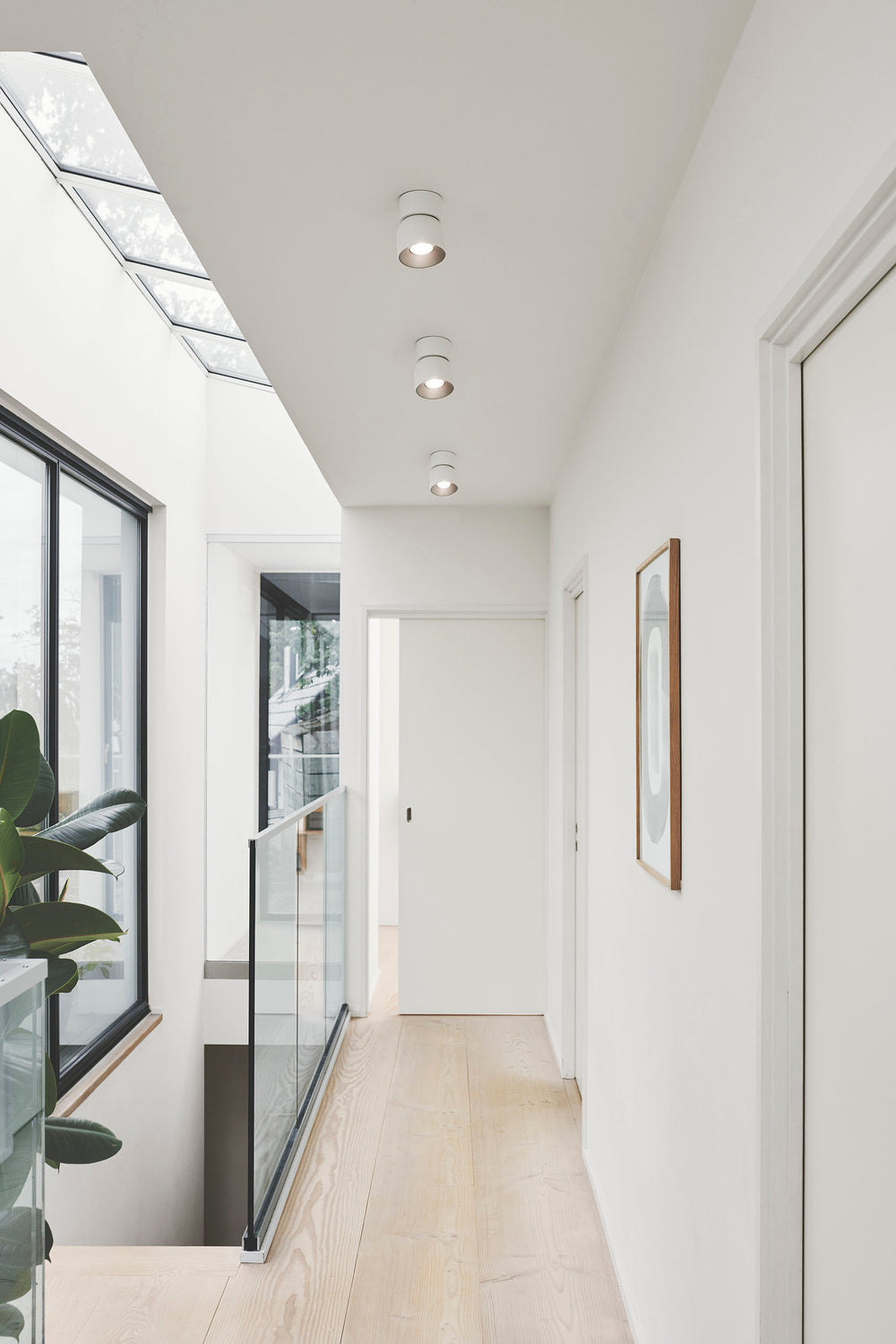 Pitcher spottivalaisin valkoinen