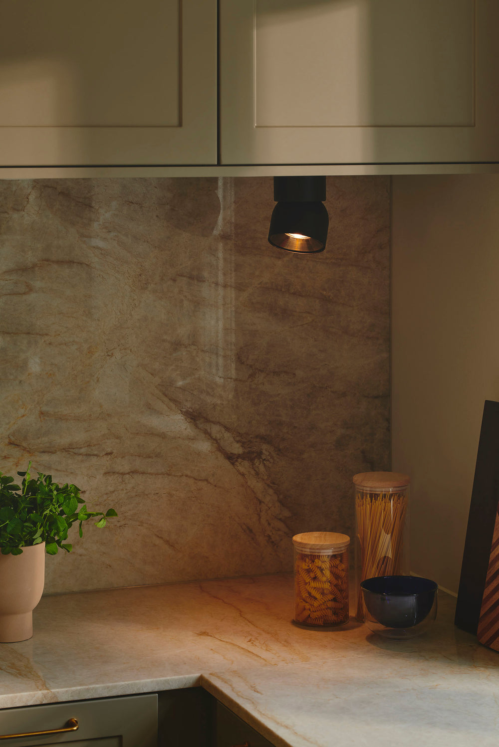 Pitcher spottivalaisin musta