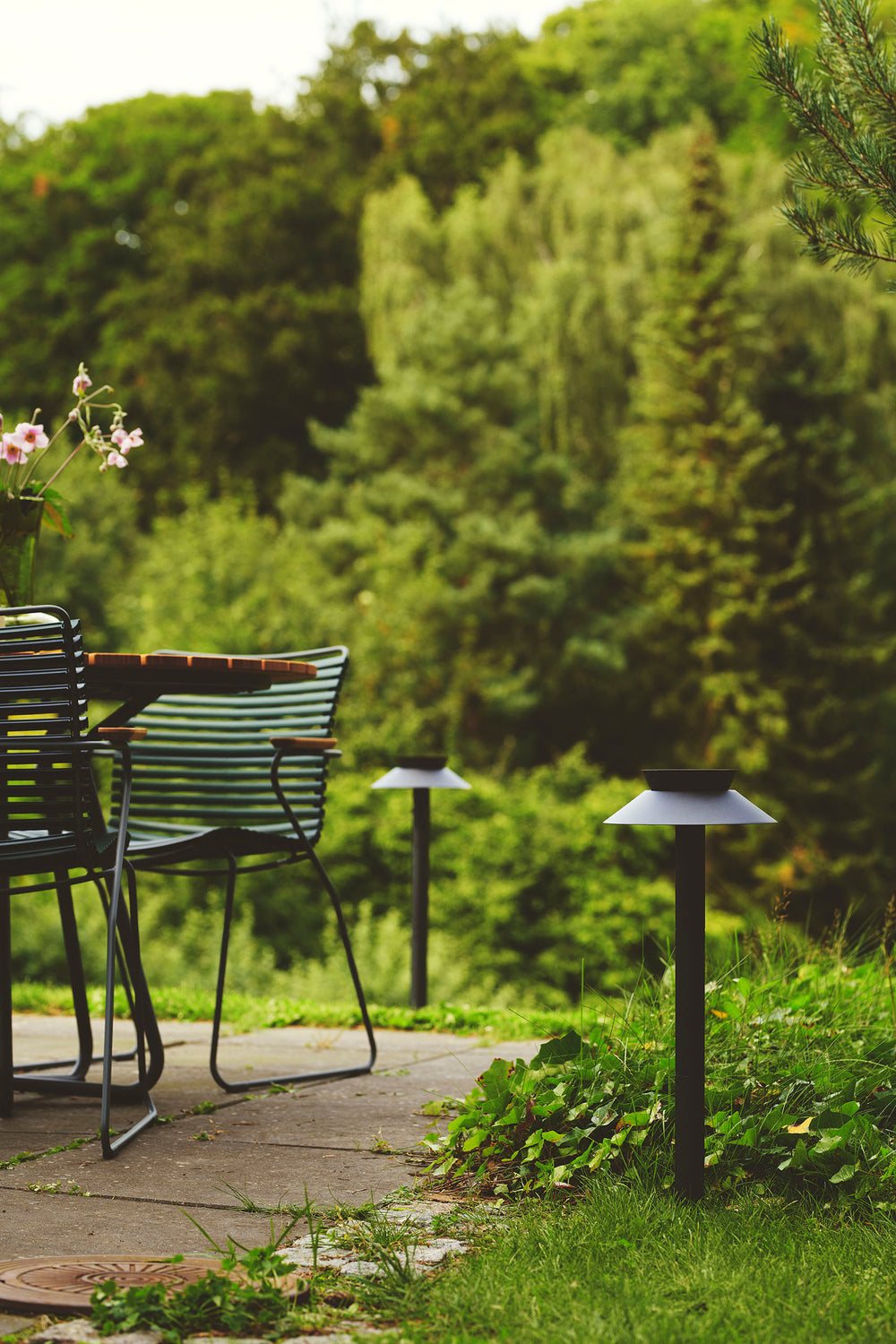 Justina aurinkokennopollari musta