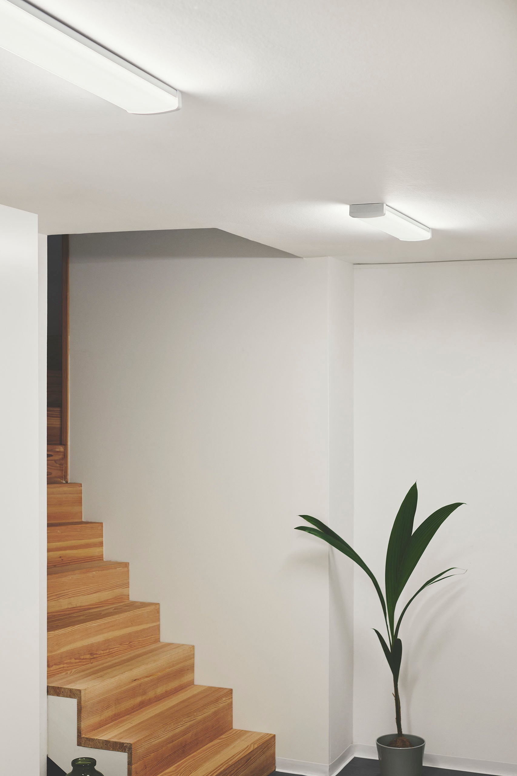 Wilmington 60 LED-loisteputkivalaisin valkoinen