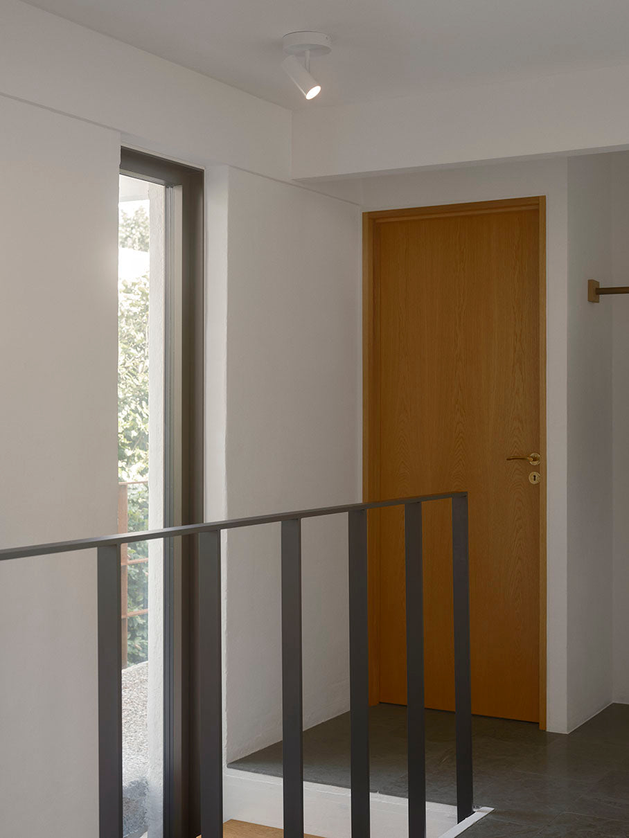 Jerome spottivalaisin valkoinen