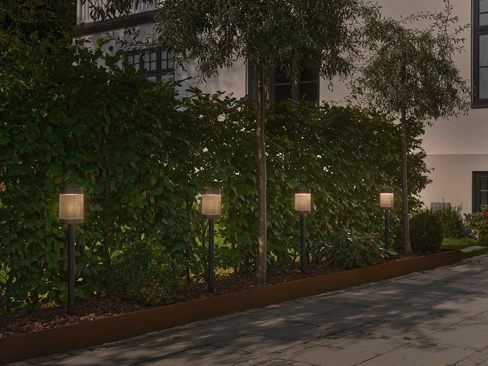 Coupar Solar pollari musta