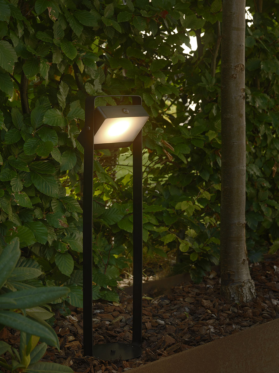 Saulio Solar pollari musta