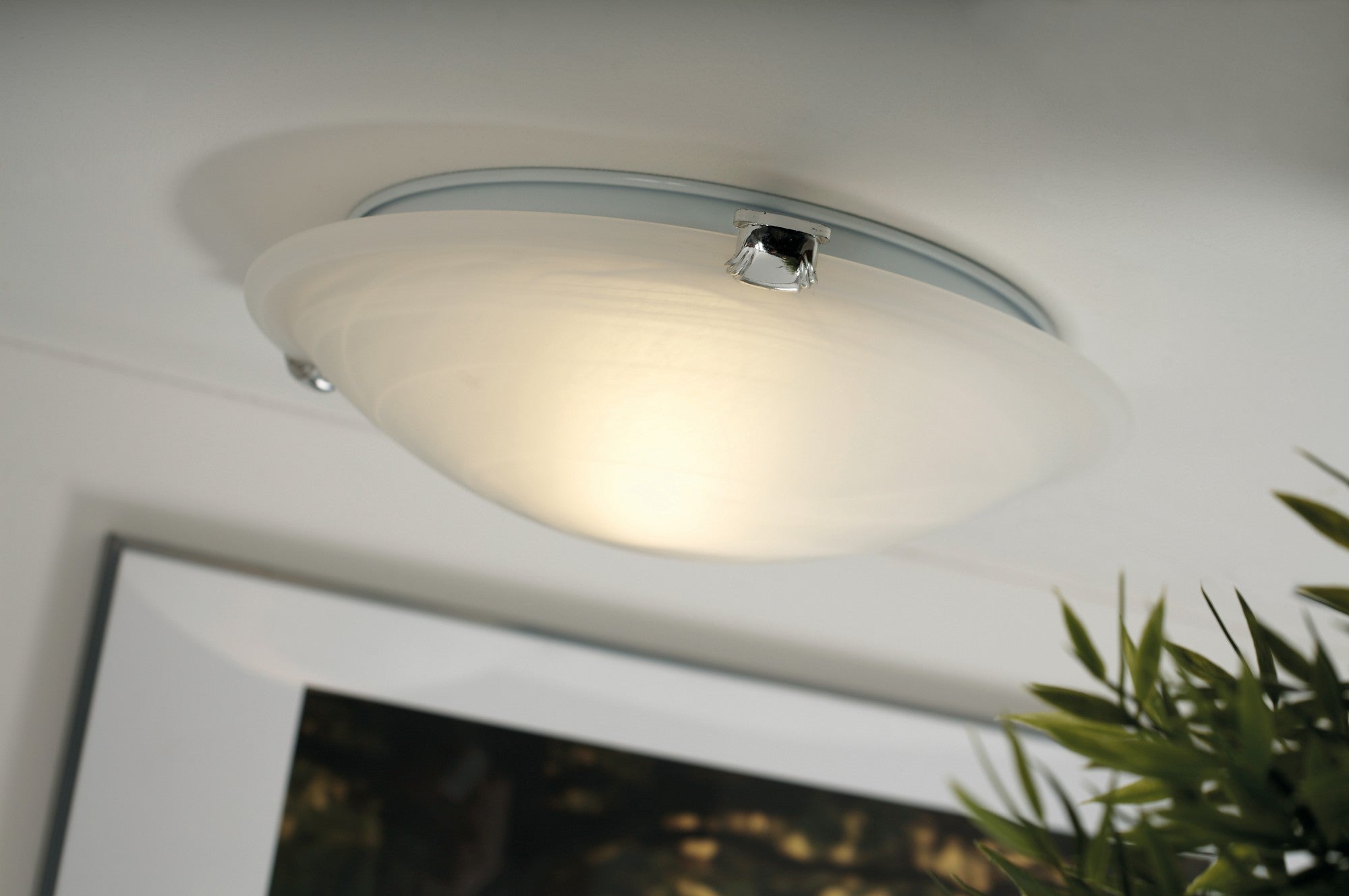 Petri plafond vit