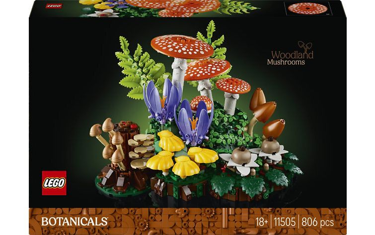 LEGO Botanicals 11505 - Metsän sienet, kuva 1