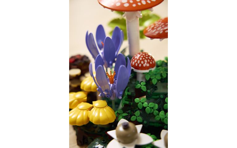 LEGO Botanicals 11505 - Metsän sienet, kuva 10