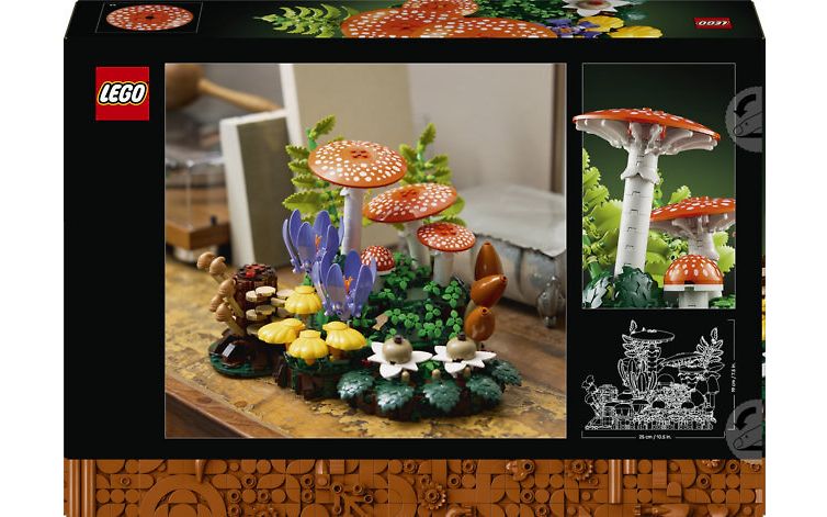 LEGO Botanicals 11505 - Metsän sienet, kuva 2