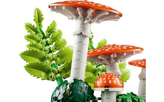 LEGO Botanicals 11505 - Metsän sienet, kuva 3