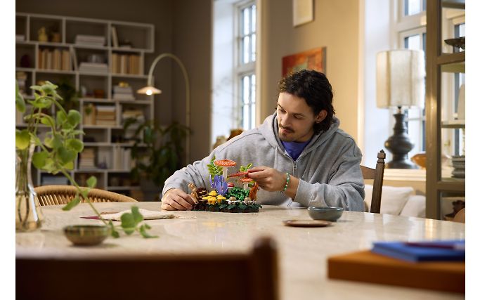 LEGO Botanicals 11505 - Metsän sienet, kuva 5