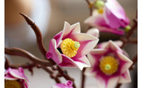 LEGO Botanicals 11510 Magnolian oksat, kuva 13