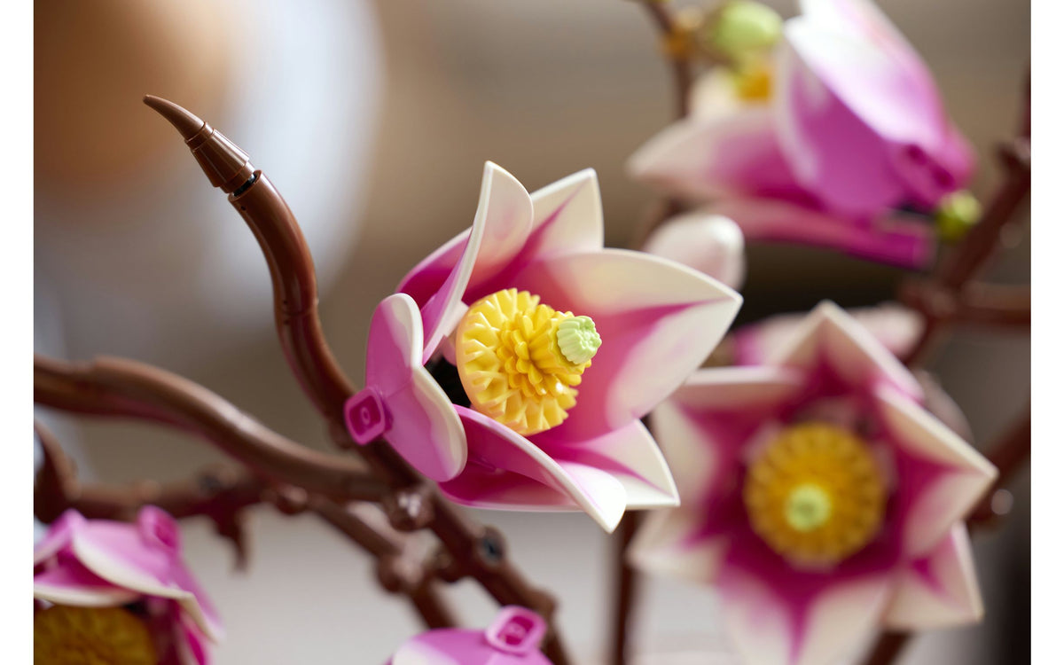 LEGO Botanicals 11510 Magnolian oksat, kuva 13