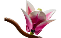 LEGO Botanicals 11510 Magnolian oksat, kuva 4