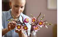 LEGO Botanicals 11510 Magnolian oksat, kuva 8