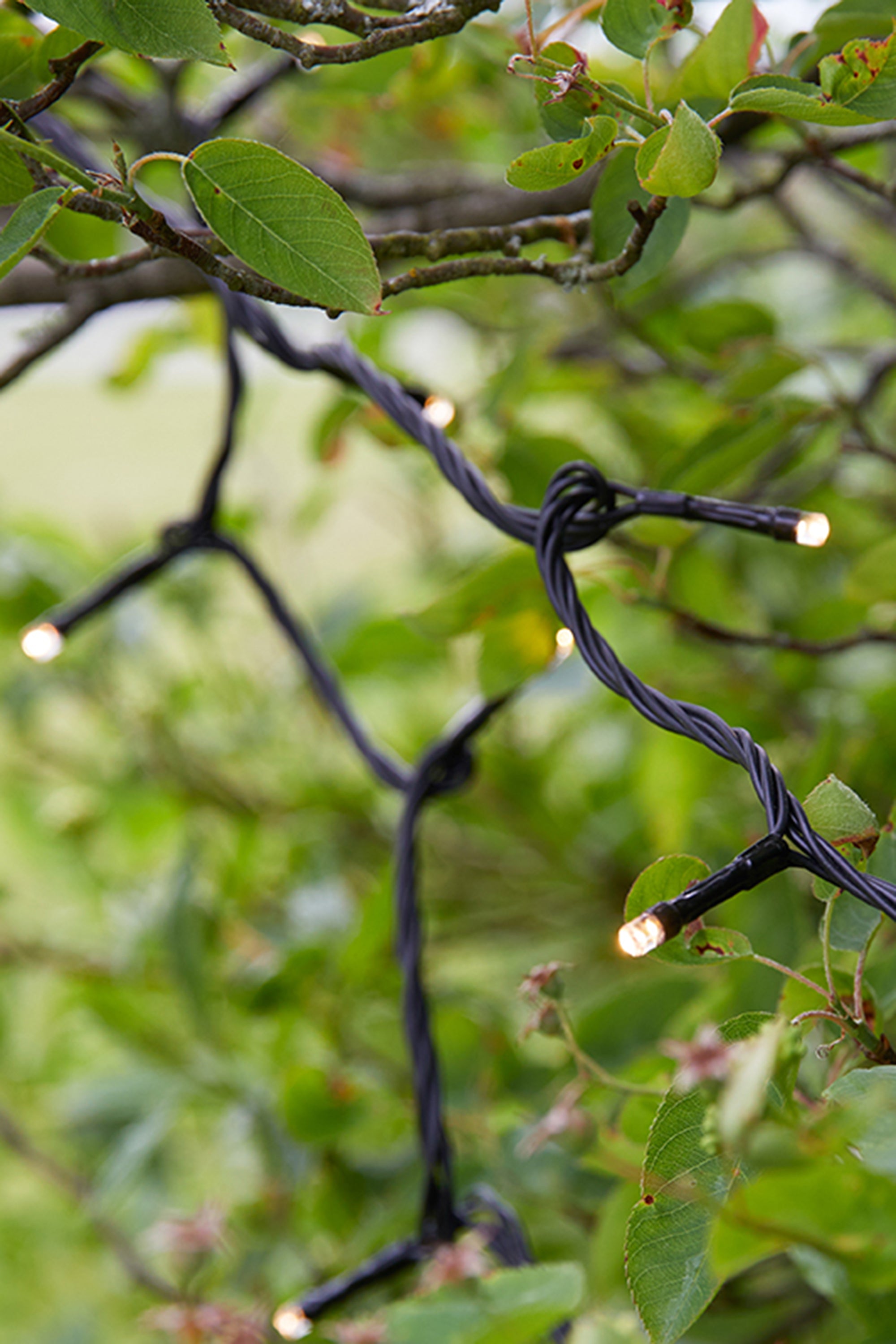GARDEN 24 Light Chain 240L Black