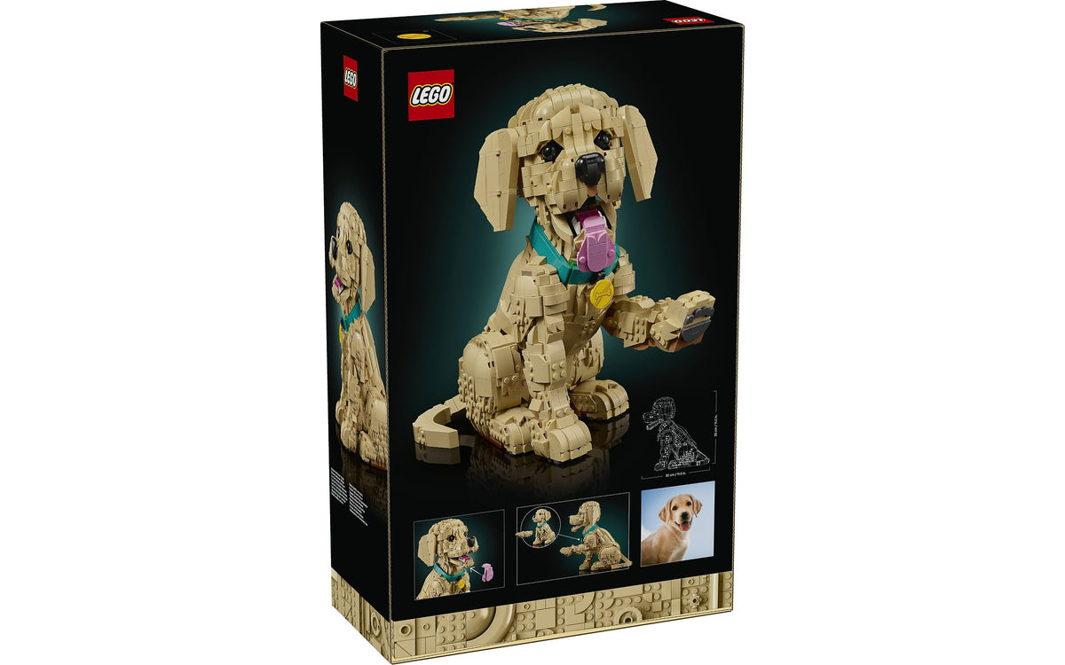 LEGO Icons 11384 Kultaisen noutajan pentu – kuva 5