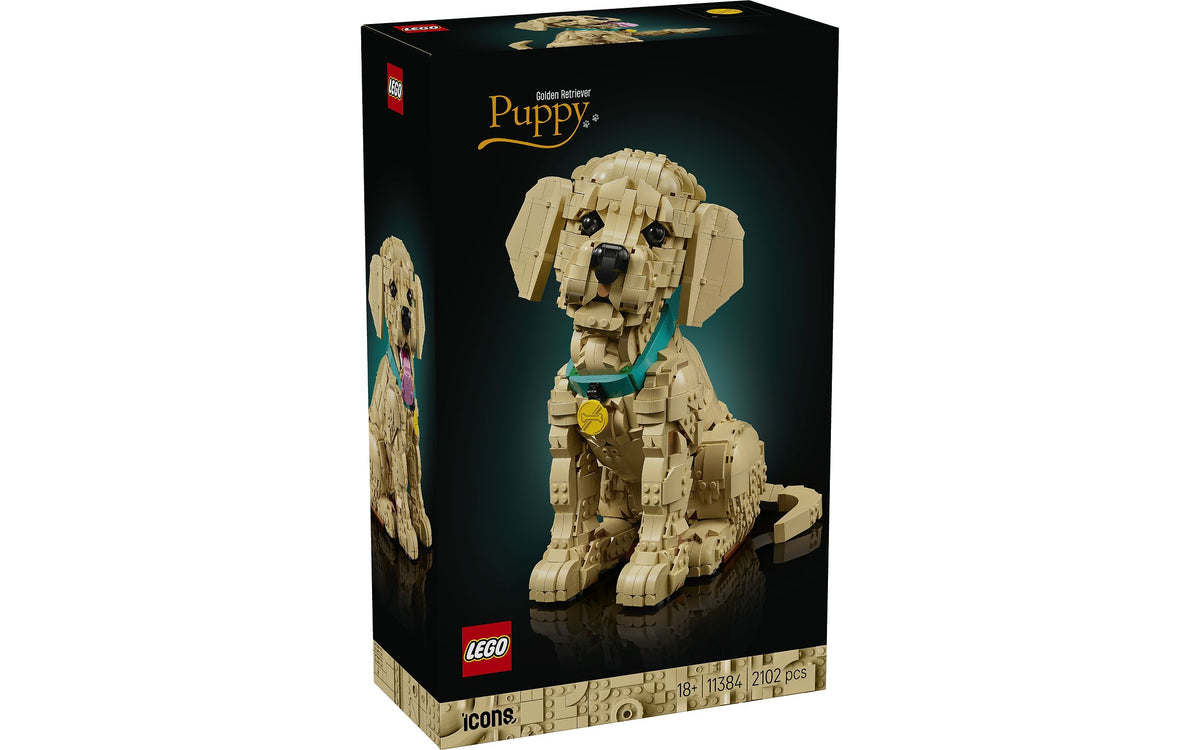 LEGO Icons 11384 Kultaisen noutajan pentu – kuva 1