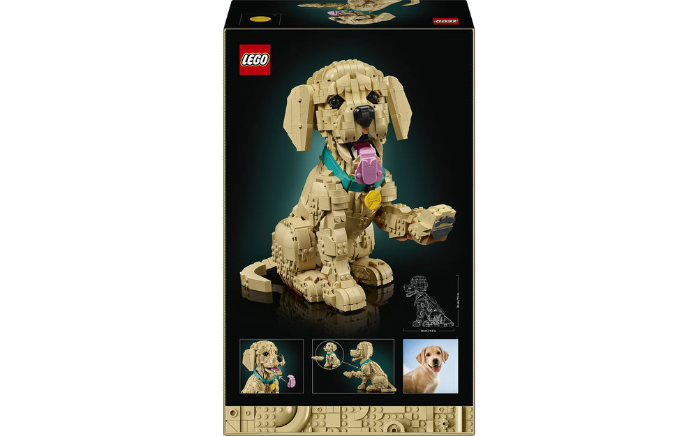 LEGO Icons 11384 Kultaisen noutajan pentu – kuva 2