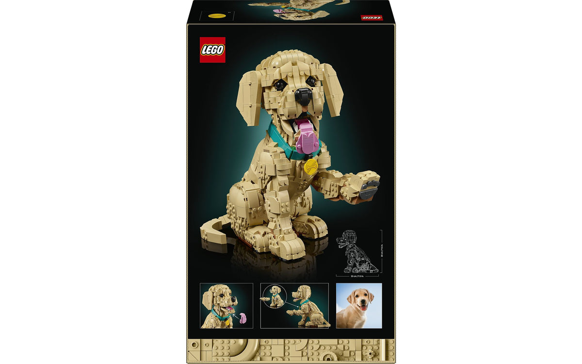LEGO Icons 11384 Kultaisen noutajan pentu – kuva 2