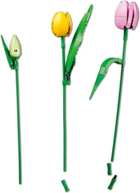 LEGO Botanicals 11501 Tulppaanikimppu – kuva 3