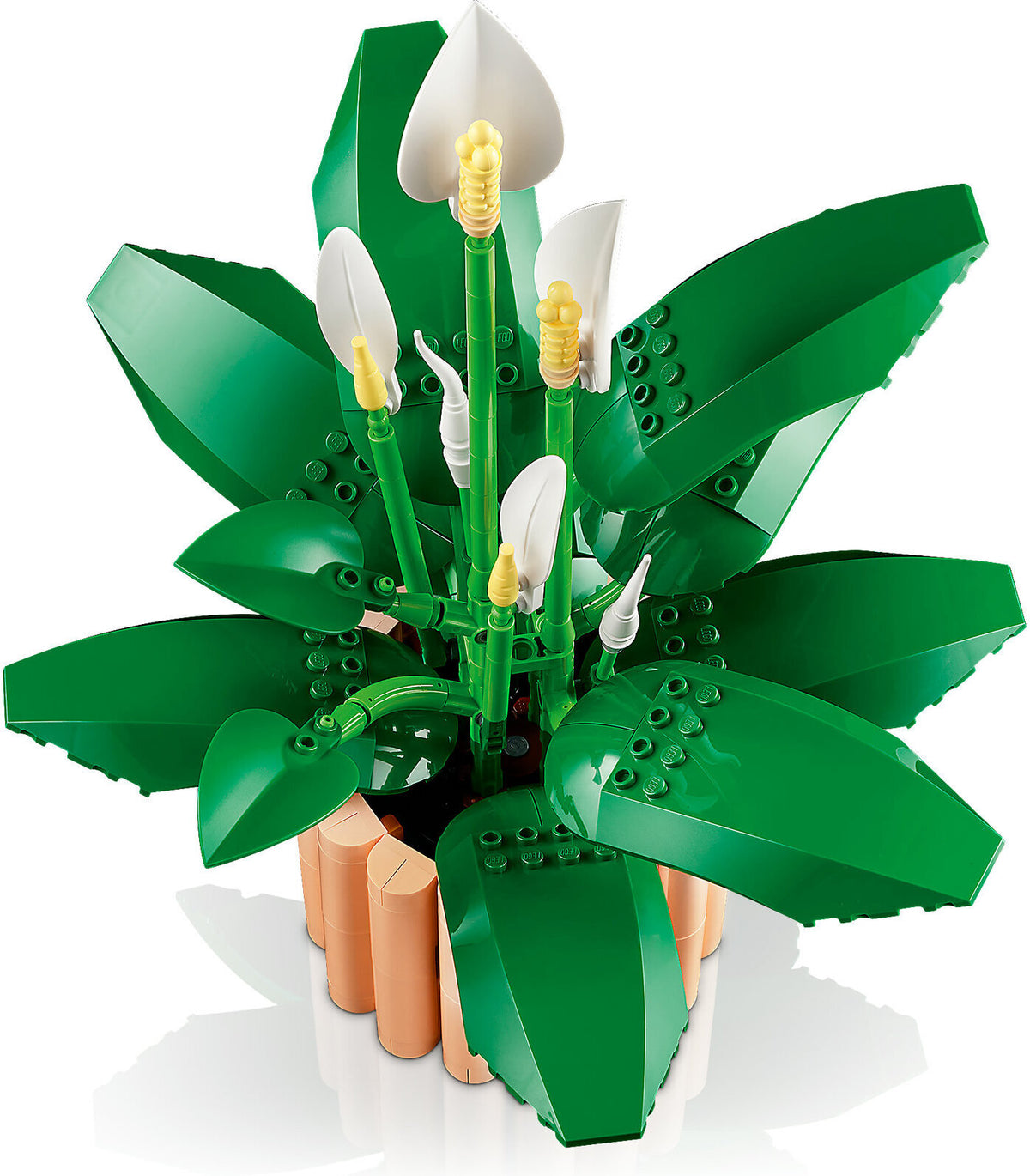 LEGO Botanicals 11504 Viirivehka – kuva 3