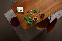 LEGO Botanicals 11504 Viirivehka – kuva 8