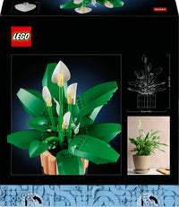 LEGO Botanicals 11504 Viirivehka – kuva 2