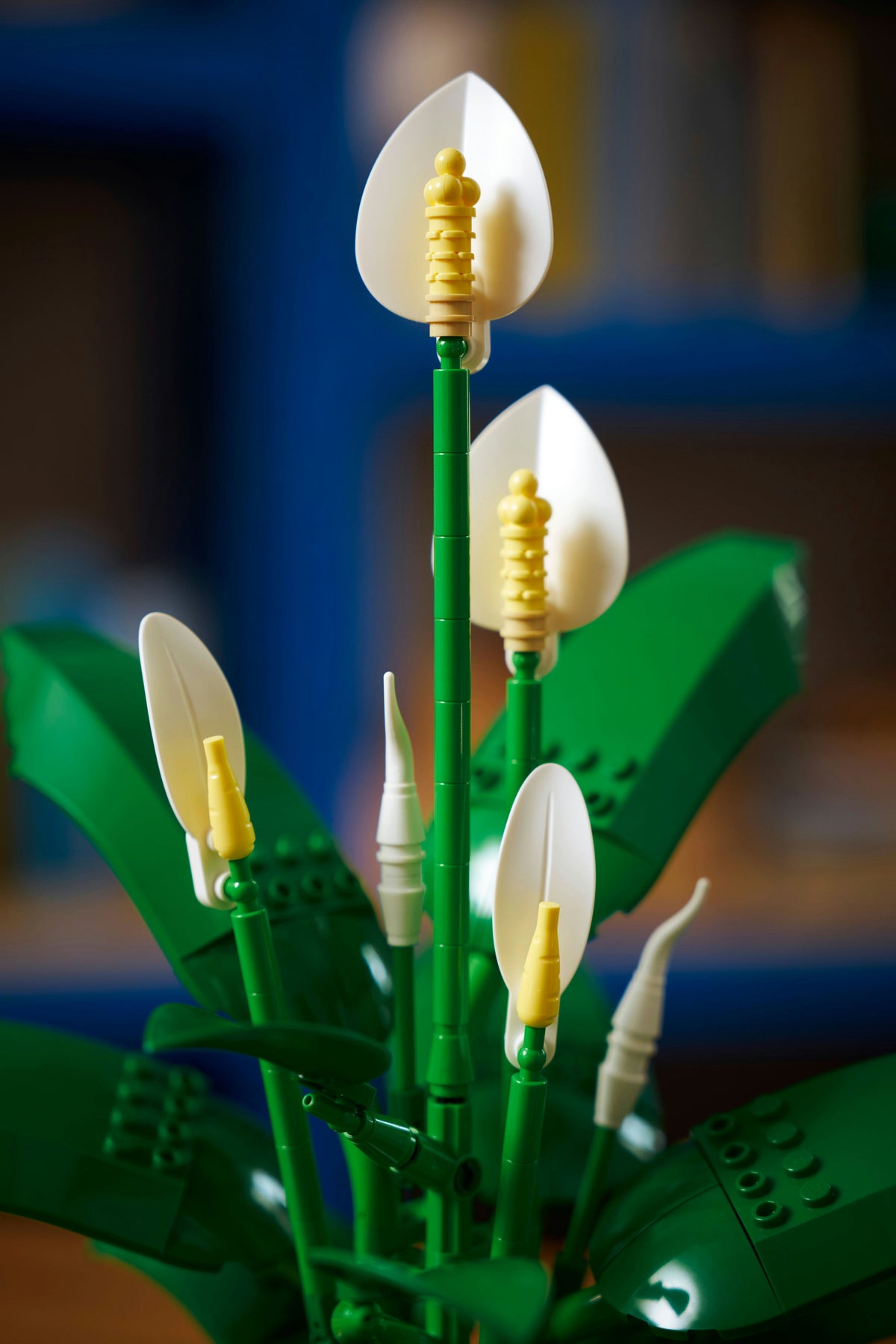 LEGO Botanicals 11504 Viirivehka – kuva 5