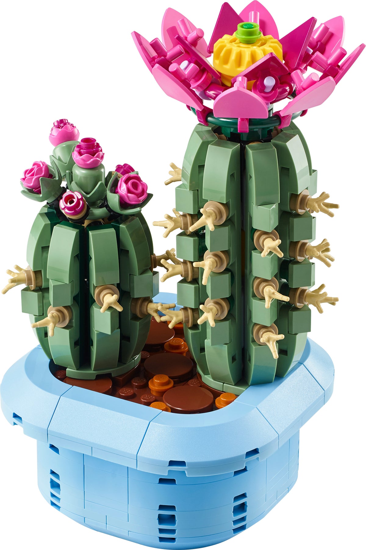 LEGO Botanicals 11509 Kukkiva kaktus – kuva 5