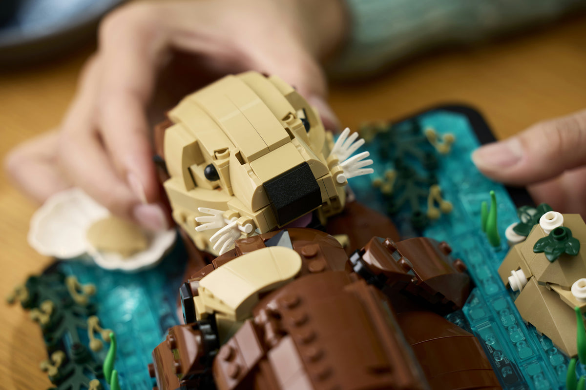 LEGO Ideas 21366 Kelluvat merisaukot – kuva 18