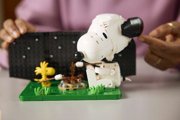 LEGO Ideas 21368 Tenavat: Ressun koirankoppi – kuva 7