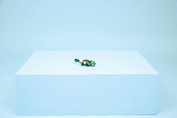 LEGO Creator 31377 Kilpikonna ja lumpeenkukka 3in1 – kuva 10