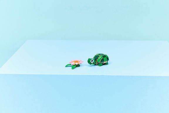 LEGO Creator 31377 Kilpikonna ja lumpeenkukka 3in1 – kuva 11