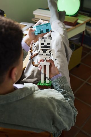 LEGO Minecraft 21594 - Luuranko – kuva 5