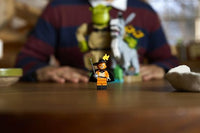 LEGO Shrek 72423: Shrek, Aasi ja Saapasjalkakissa – kuva 10
