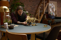 LEGO Jurassic World 77985 Dinosaurusfossiilit: Triceratops – kuva 5