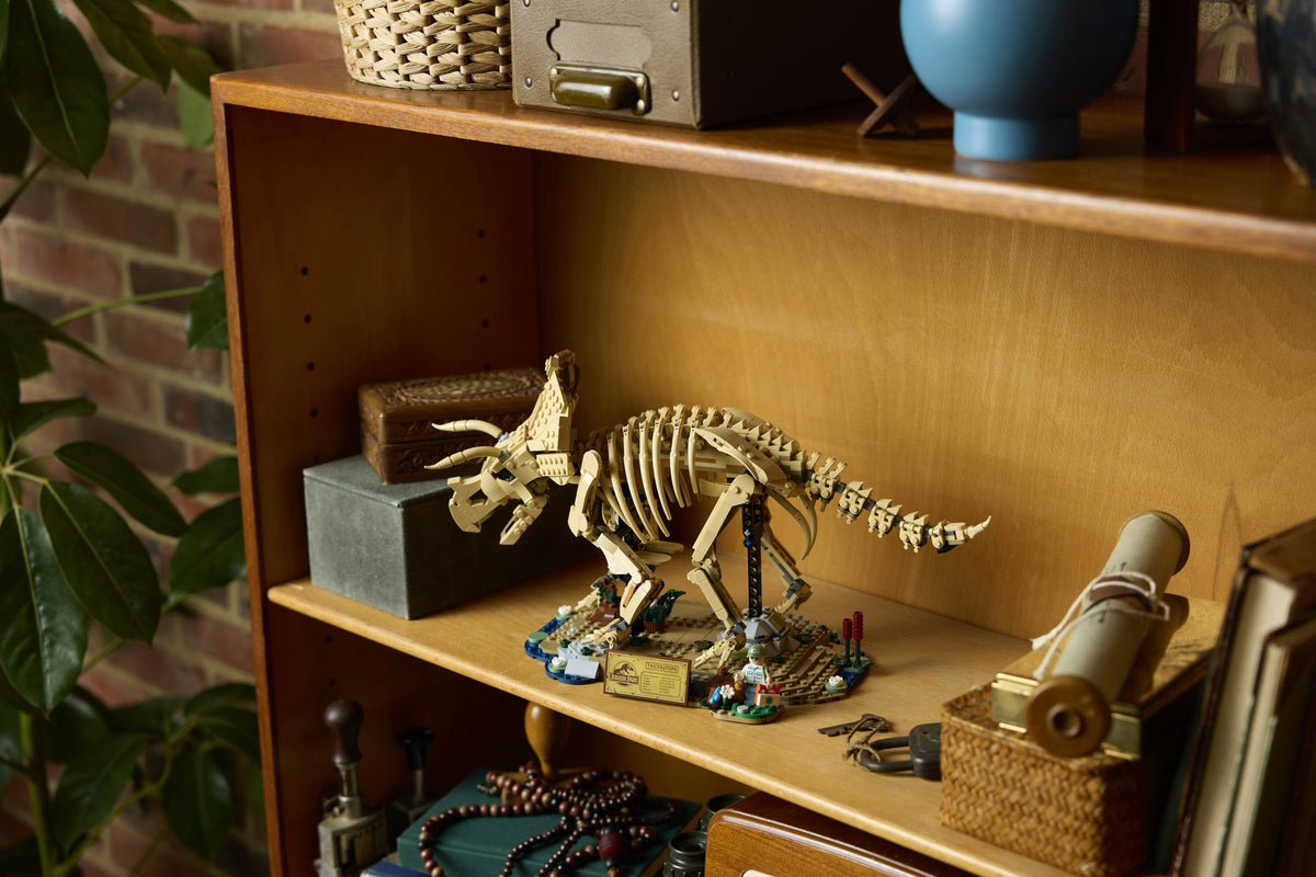 LEGO Jurassic World 77985 Dinosaurusfossiilit: Triceratops – kuva 14